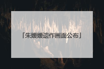 朱媛媛遗作画面公布