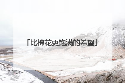 比棉花更饱满的希望