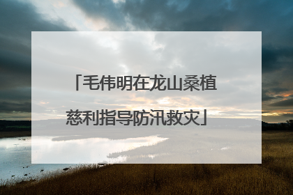 毛伟明在龙山桑植慈利指导防汛救灾