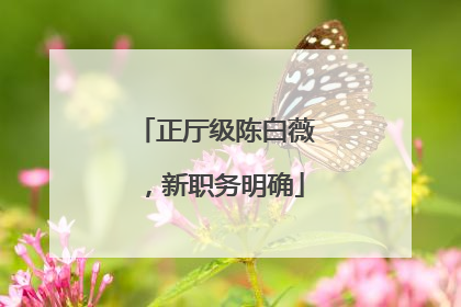 正厅级陈白薇，新职务明确