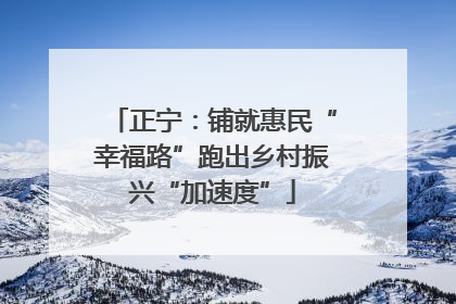 正宁：铺就惠民“幸福路”跑出乡村振兴“加速度”