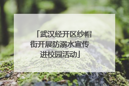 武汉经开区纱帽街开展防溺水宣传进校园活动
