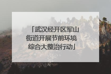 武汉经开区军山街道开展节前环境综合大整治行动