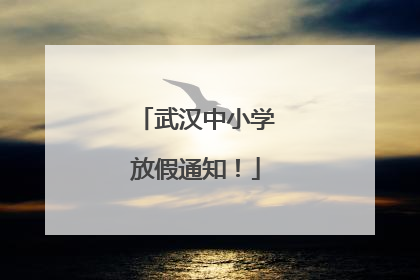 武汉中小学放假通知！