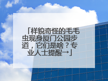 样貌奇怪的毛毛虫现身厦门公园步道，它们是啥？专业人士提醒→
