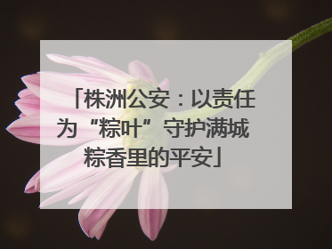 株洲公安：以责任为“粽叶”守护满城粽香里的平安