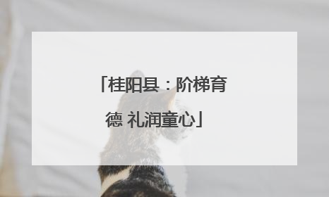 桂阳县：阶梯育德 礼润童心