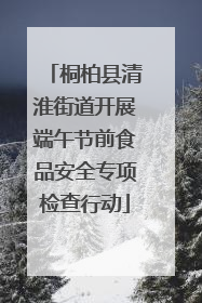 桐柏县清淮街道开展端午节前食品安全专项检查行动
