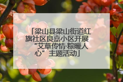 梁山县梁山街道红旗社区良嘉小区开展“艾草传情·粽暖人心”主题活动