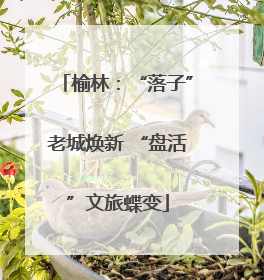 榆林：“落子”老城焕新 “盘活”文旅蝶变