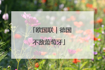 欧国联｜德国不敌葡萄牙