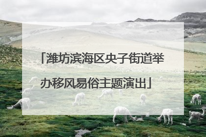 潍坊滨海区央子街道举办移风易俗主题演出
