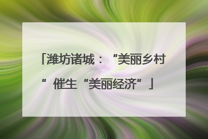 潍坊诸城：“美丽乡村”催生“美丽经济”