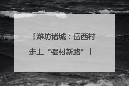 潍坊诸城：岳西村走上“强村新路”