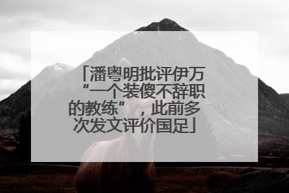 潘粤明批评伊万“一个装傻不辞职的教练”，此前多次发文评价国足