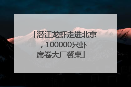 潜江龙虾走进北京，100000只虾席卷大厂餐桌