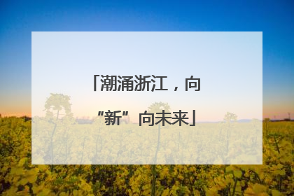 潮涌浙江，向“新”向未来