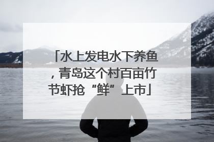 水上发电水下养鱼，青岛这个村百亩竹节虾抢“鲜”上市