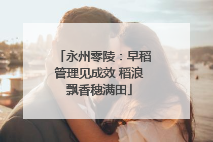 永州零陵：早稻管理见成效 稻浪飘香穗满田