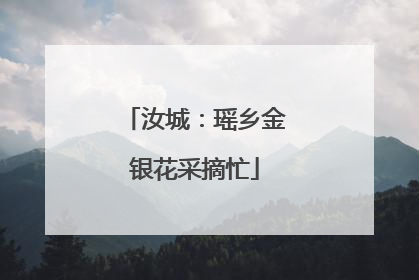 汝城：瑶乡金银花采摘忙