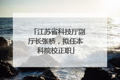 江苏省科技厅副厅长张桥，拟任本科院校正职