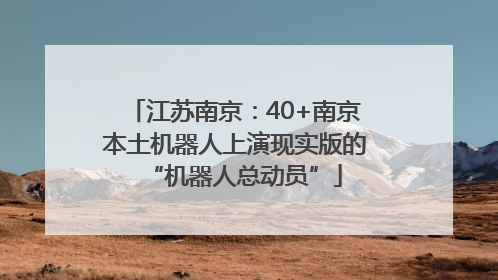 江苏南京：40+南京本土机器人上演现实版的“机器人总动员”