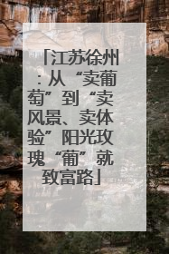 江苏徐州：从“卖葡萄”到“卖风景、卖体验”阳光玫瑰“葡”就致富路