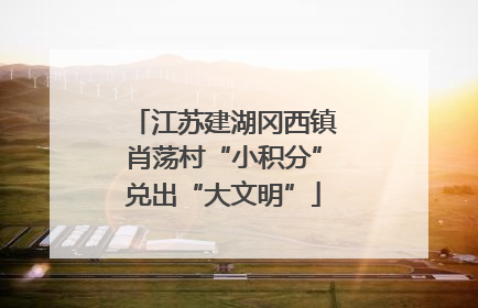 江苏建湖冈西镇肖荡村“小积分”兑出“大文明”