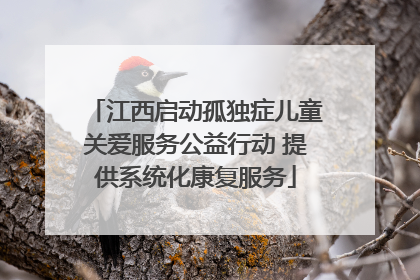 江西启动孤独症儿童关爱服务公益行动 提供系统化康复服务