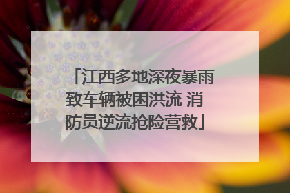 江西多地深夜暴雨致车辆被困洪流 消防员逆流抢险营救