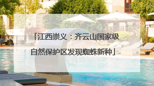 江西崇义：齐云山国家级自然保护区发现蜘蛛新种