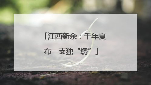 江西新余：千年夏布一支独“绣”