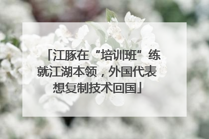 江豚在“培训班”练就江湖本领，外国代表想复制技术回国