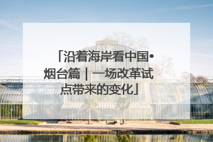 沿着海岸看中国•烟台篇｜一场改革试点带来的变化