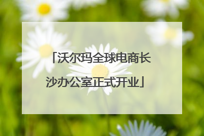 沃尔玛全球电商长沙办公室正式开业