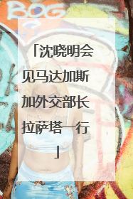 沈晓明会见马达加斯加外交部长拉萨塔一行