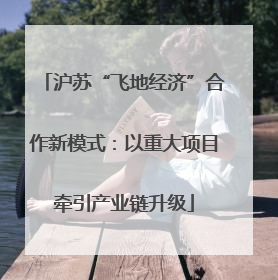 沪苏“飞地经济”合作新模式：以重大项目牵引产业链升级