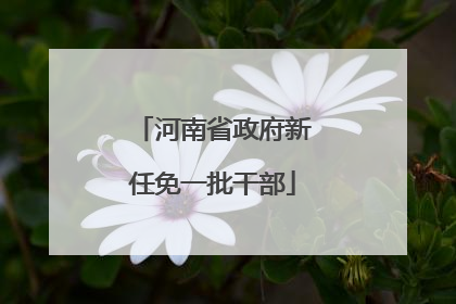 河南省政府新任免一批干部