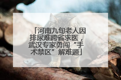 河南九旬老人因排尿难跨省求医，武汉专家勇闯“手术禁区”解难题