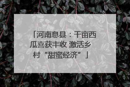 河南息县：千亩西瓜喜获丰收 激活乡村“甜蜜经济”