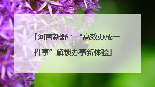 河南新野：“高效办成一件事”解锁办事新体验
