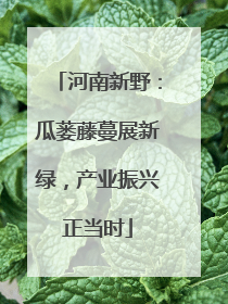 河南新野：瓜蒌藤蔓展新绿，产业振兴正当时