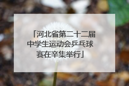 河北省第二十二届中学生运动会乒乓球赛在辛集举行
