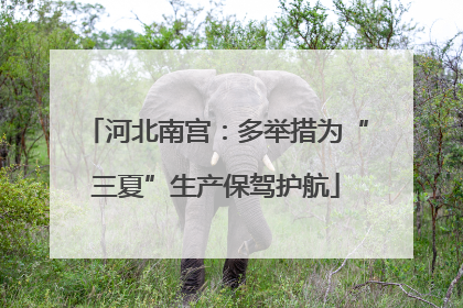 河北南宫：多举措为“三夏”生产保驾护航