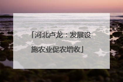 河北卢龙：发展设施农业促农增收