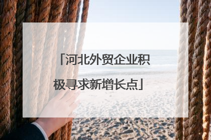 河北外贸企业积极寻求新增长点