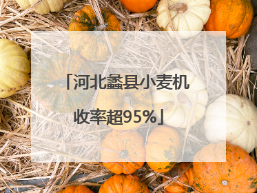 河北蠡县小麦机收率超95%