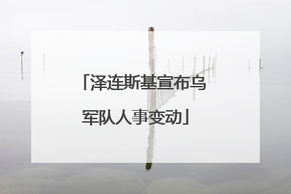 泽连斯基宣布乌军队人事变动