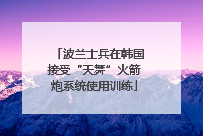 波兰士兵在韩国接受“天舞”火箭炮系统使用训练