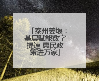 泰州姜堰：基层赋能数字提速 惠民政策进万家